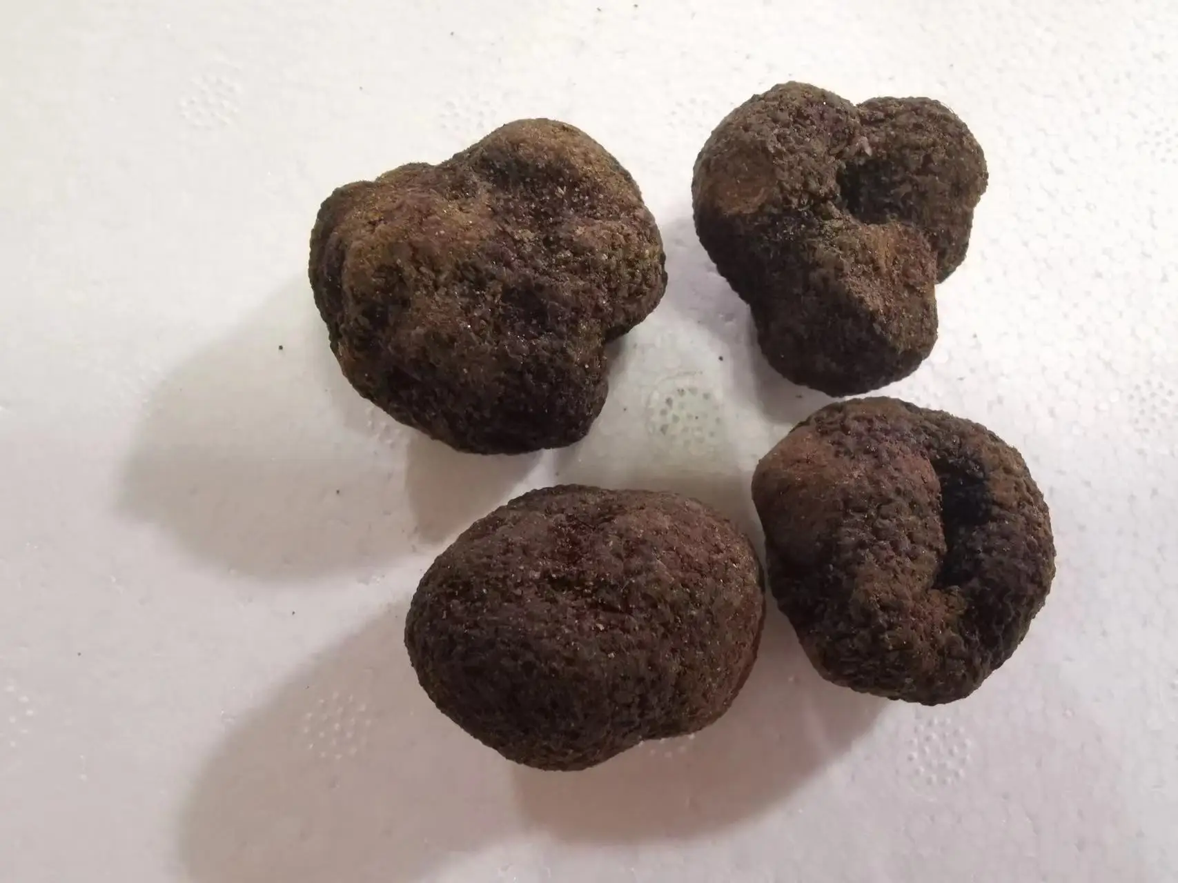 Новый сезон, дикий свежий китайский зимний черный трюфель