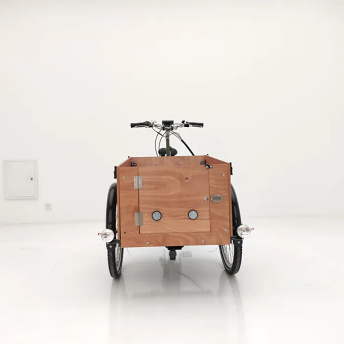 Delivery bike three wheel cargo use front loading electric cargo bike for sale