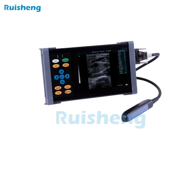 Ce Certified Portable Full Digital B Mode Veterinary Ultrasound Scanner Price Medical Vet Ultrasound Machine