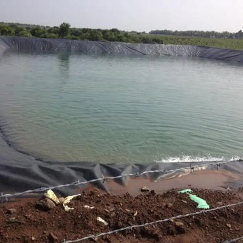 Заводская оптовая продажа водостойкий материал для рыбной фермы Hdpe геомембрана цена за квадратный метр свалки