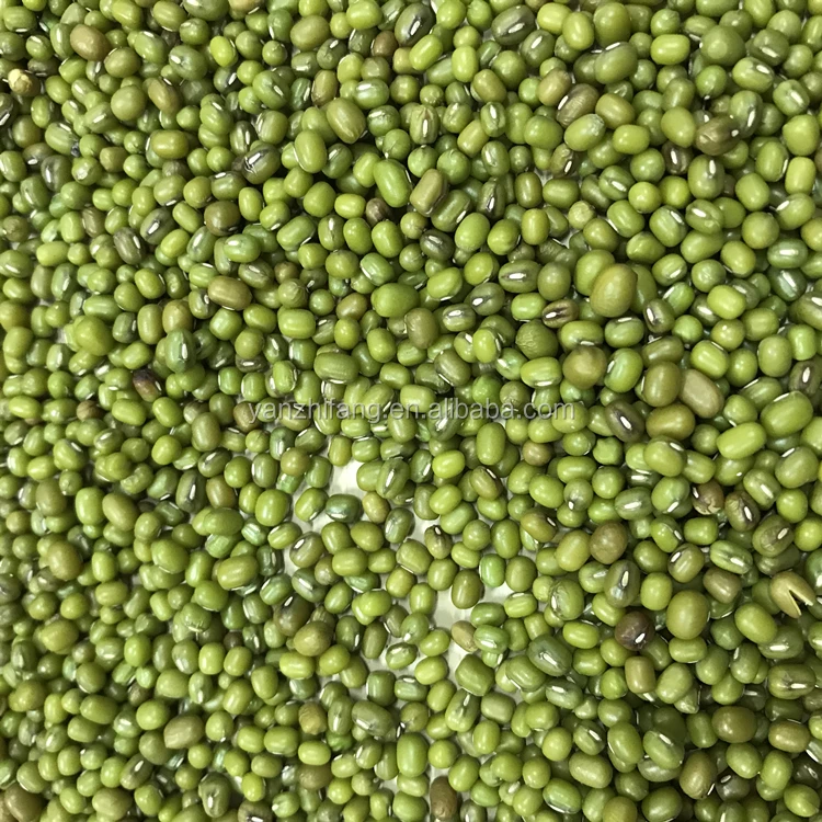 
Factory supply high nutrition vietnam green mung beans for sale 
