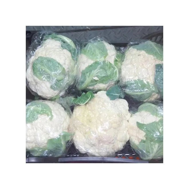 Фирменная этикетка египетского качества, свежие овощи, капуста, брокколи, оптовая продажа