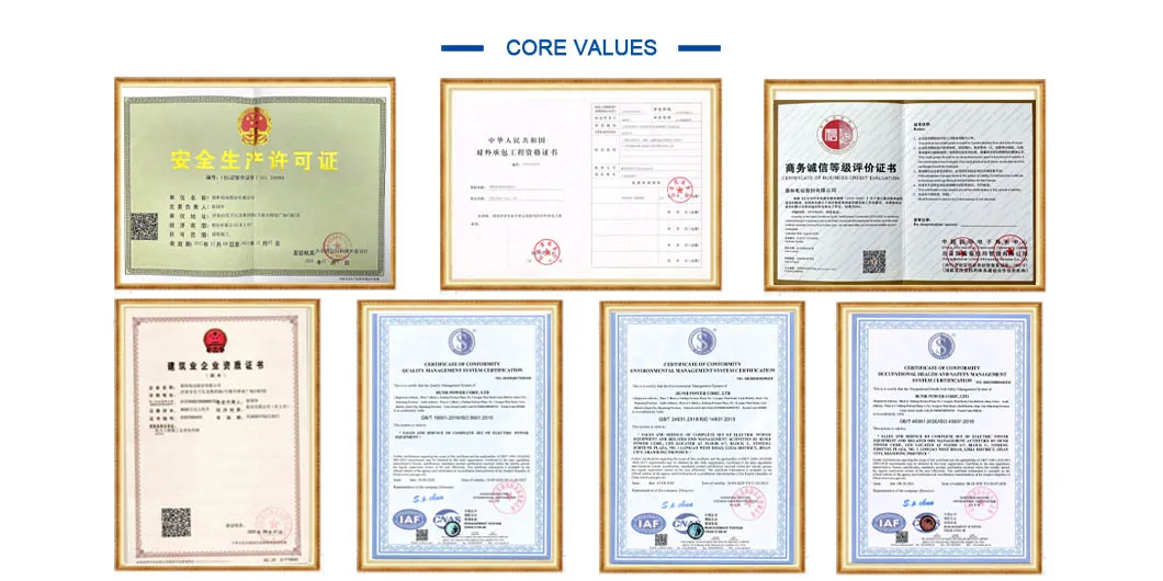 Power Plant Constractor of Coal Gas Oil Biomass Fuel Fired Electricity Power