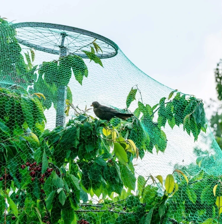 
Green Gardener Protection PE Plant Support Grow Mesh Net,Anti Bird Mesh Netting 