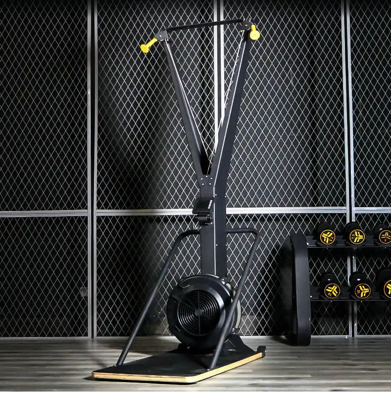 arcade twin nordic skiing snow gym equipment fitness simulator wind resistance air row indoor rowing and ski machine