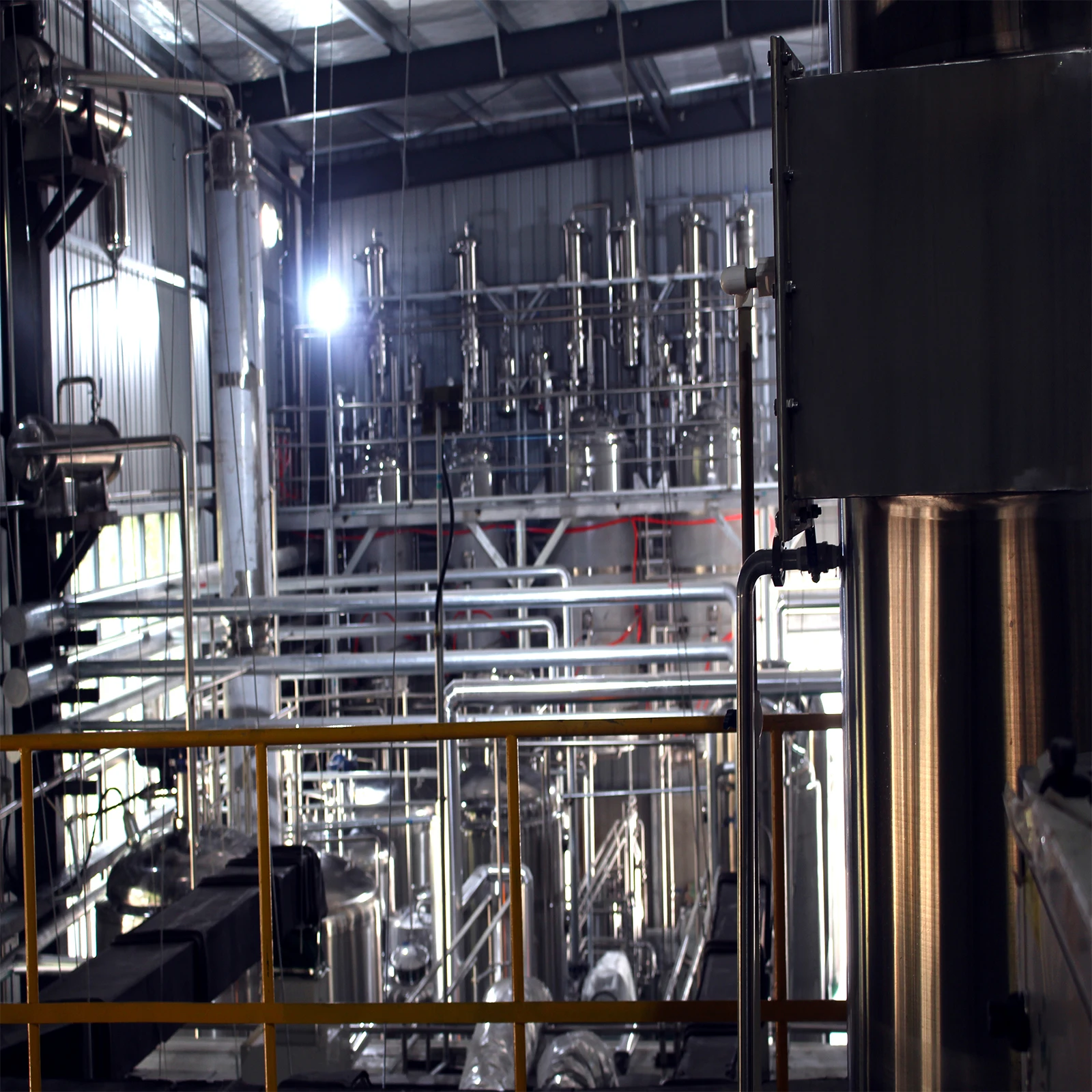 Essential nutrient active components high content vitamin C rose hep extract powder