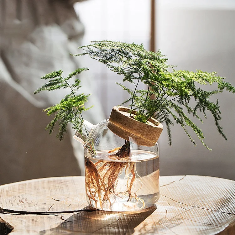 Creative Table Indoor Hydroponic Plant Round Nordic Decorative Clear Small Flower Bottle Wedding Vases