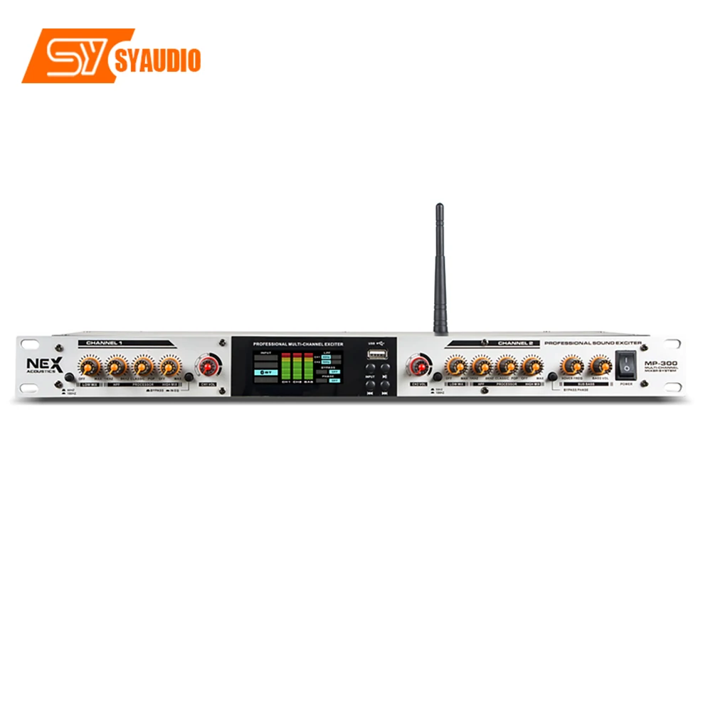 Professional dsp audio Karaoke Effect IP100 dsp digital echo audio effects