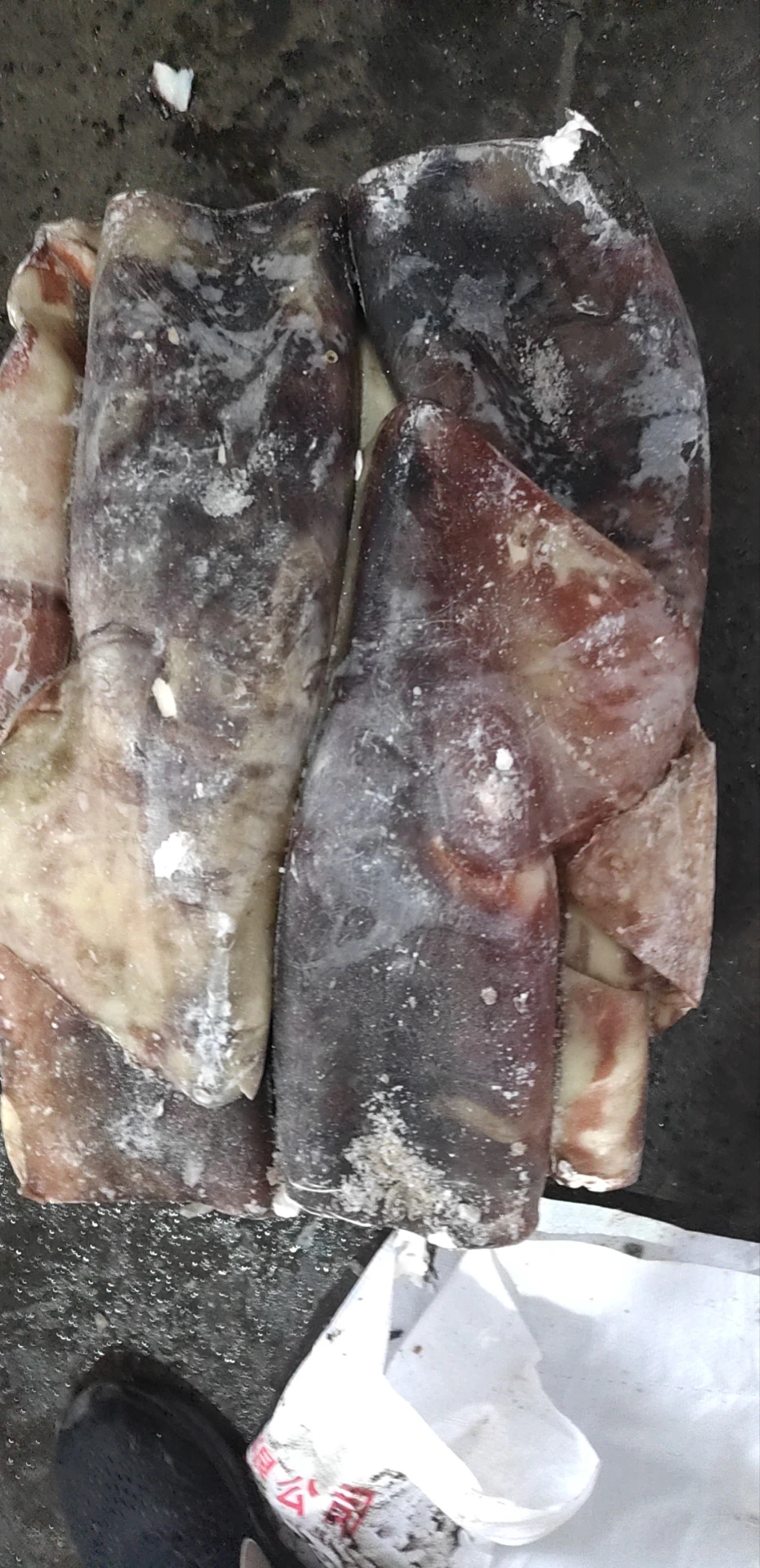 Высококачественный свежий замороженный гигантский кальмар seafrozen, производство Китай