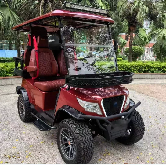 Off Road Pick Up 2 Seaters Golf Cart with Top Car Roof Rack Luggage Bag Storage Roof Box Cargo