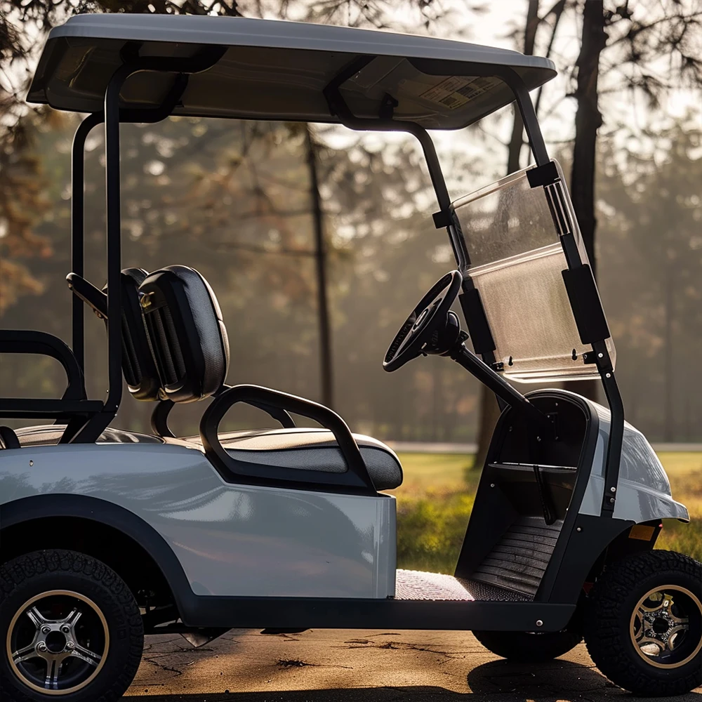 golf carts pakistan vintage golf cart golf carts 2 passengers