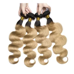 Best Quality Piano Hair Color 4/27 Highlight Piano Bone Straight Vietnames Hair Perruques Piano Hair