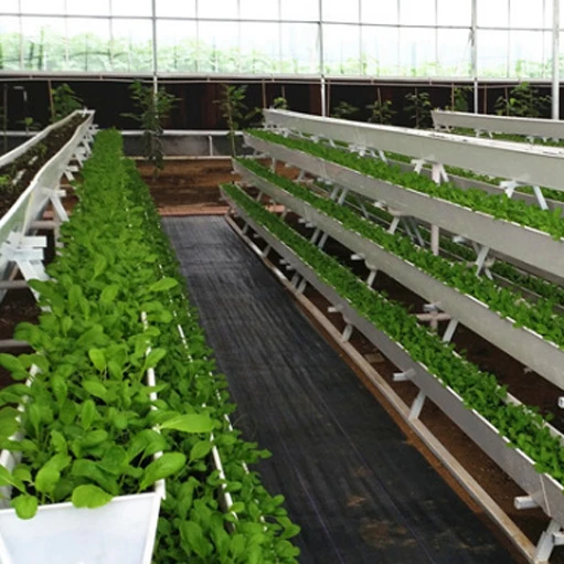 NFT hydroponic strawberry gutter garden greenhouse farming system