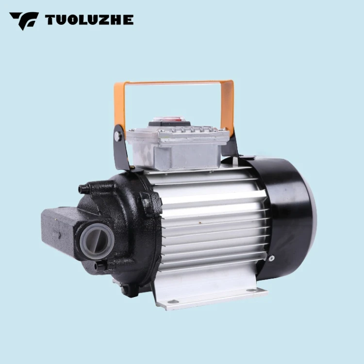 220V-750W Мощный электрический насос для заправки дизельного масла в сборе