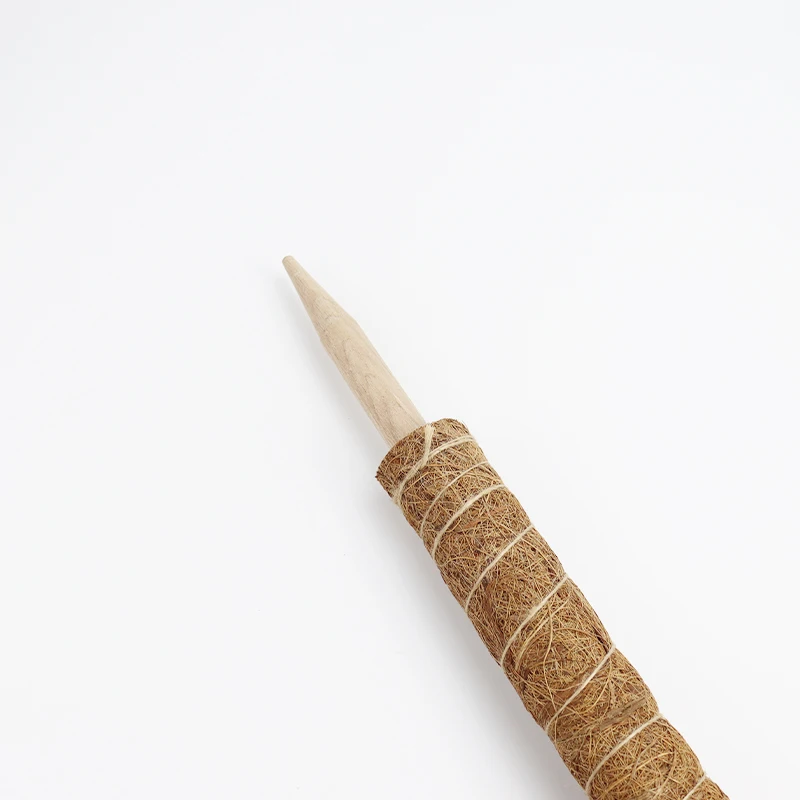 New design detachable Moss Pole 2 Coco Coir indoor plant grow up support poles Stackable  climbing poles