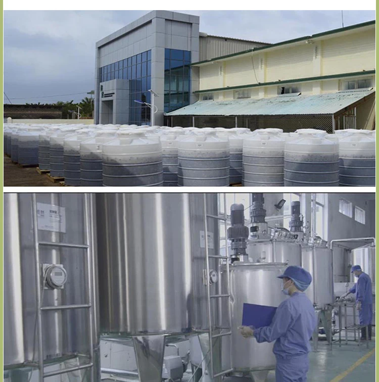China supplier export bulk wholesale health detox dried fruit for tea