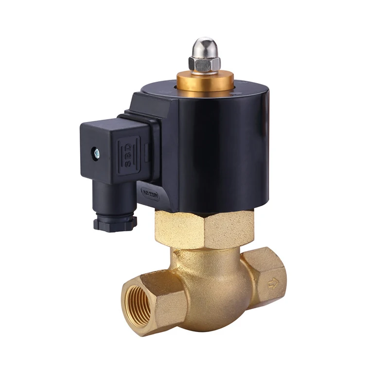 2L170 20 2/2 Way 220V Steam Air Water Solenoid Valve High Temperture Electric Steam Brass Solenoid Valve