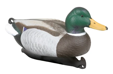 High-head and Low-head Postures Duck Decoy Authentically Replicate the Natural Behavior Decoys Duck