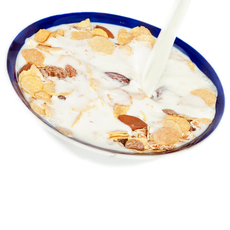 Non Dairy Creamer Powder for Milk tea Coffee Ice cream Whipping cream Candy Bakery foods Cereal