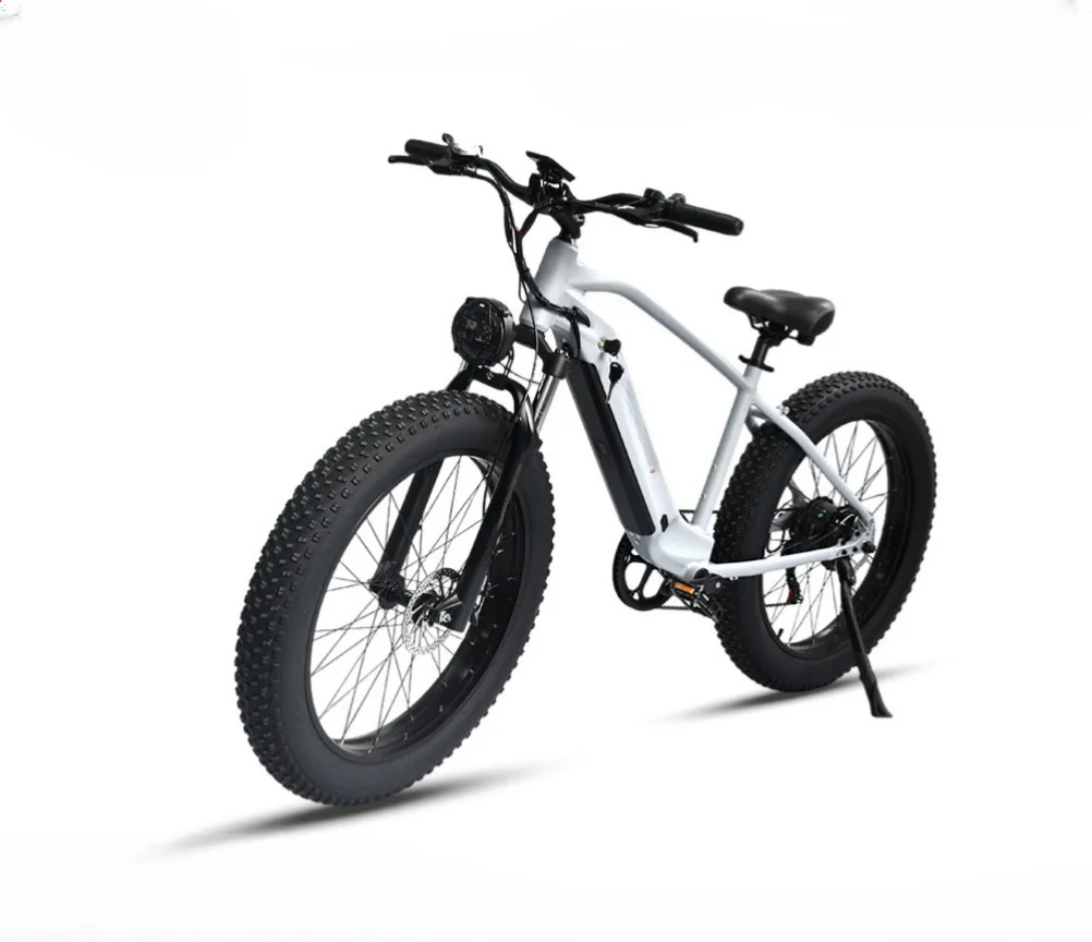 Electric Bicycle 500w/1000w/1500w High Power 48V US Overseas Warehouse