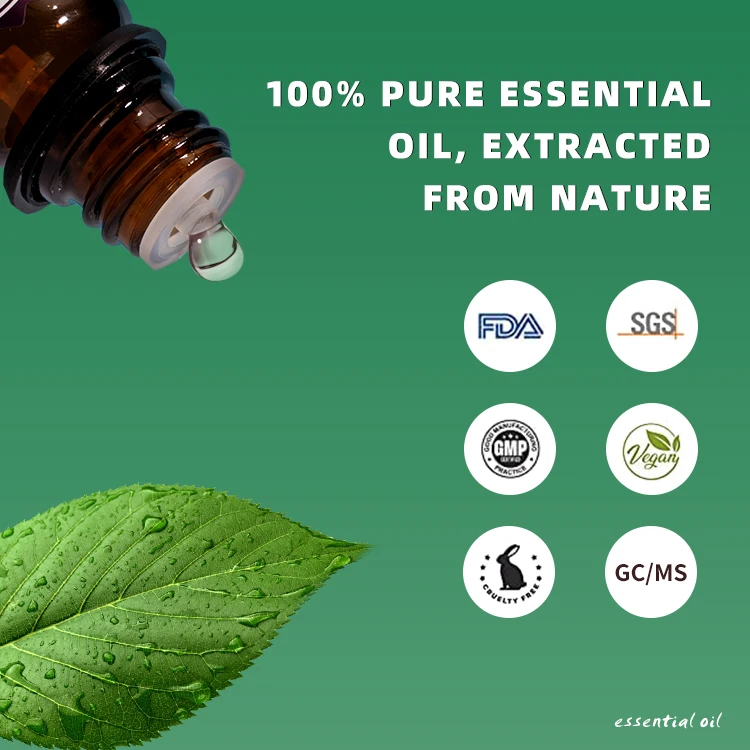 Aromatherapy Cheap Price Natural Essential Oils set 100% Pure  - Top Basic Sampler Gift Set & Premium Kit - 6 / 10 ML