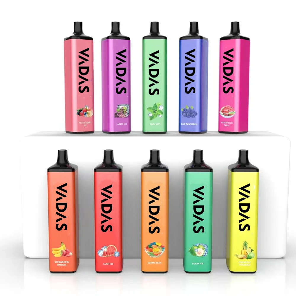 Electronic cigarette VADAS wholesale 5000 puffs e vape pen