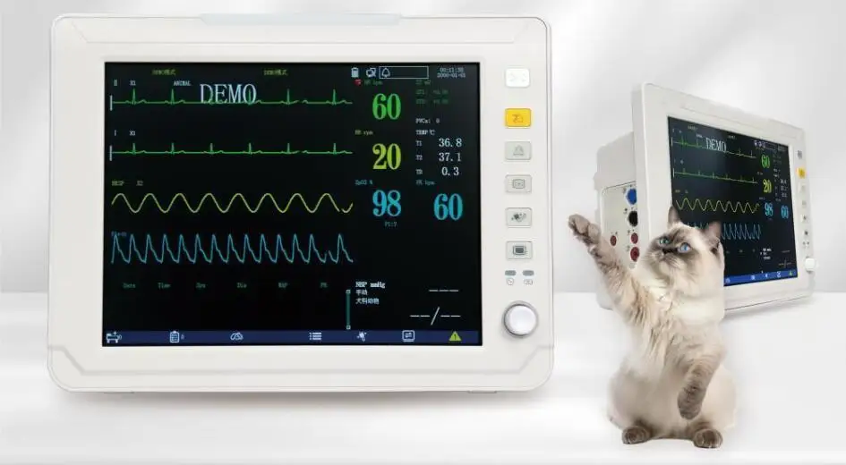 DMSM01 Cheap and Portable Veterinary Medicine Animal EKG Machine Smart Monitor Ecg Machine vet multi parameter patient monitor