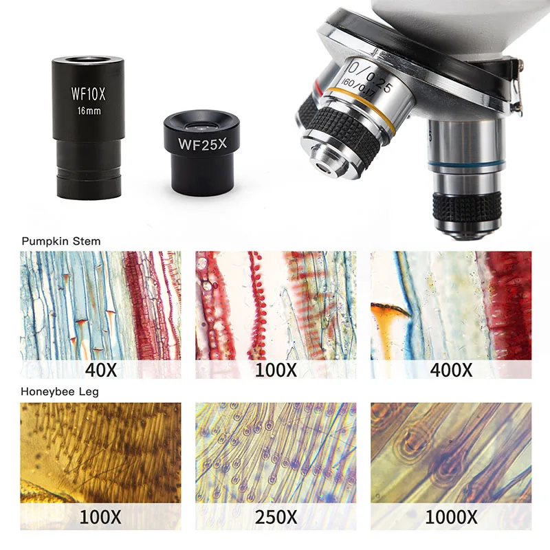 SWIFT-SW150 Rotatable Professional Microscope 1000x Monocular Microscope for Kids Biological Microscope