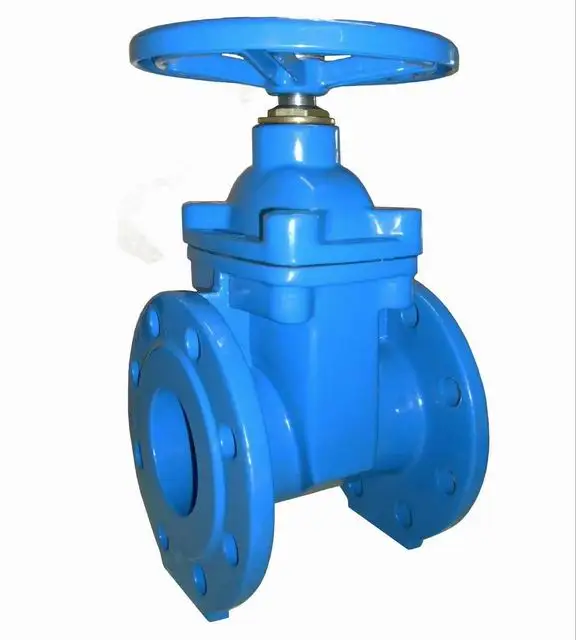 
Gate Valve 