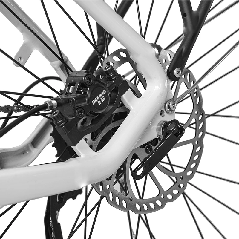 48V 350W Mid Mounted Motor Electric Scooter Electric City Bike For Adult