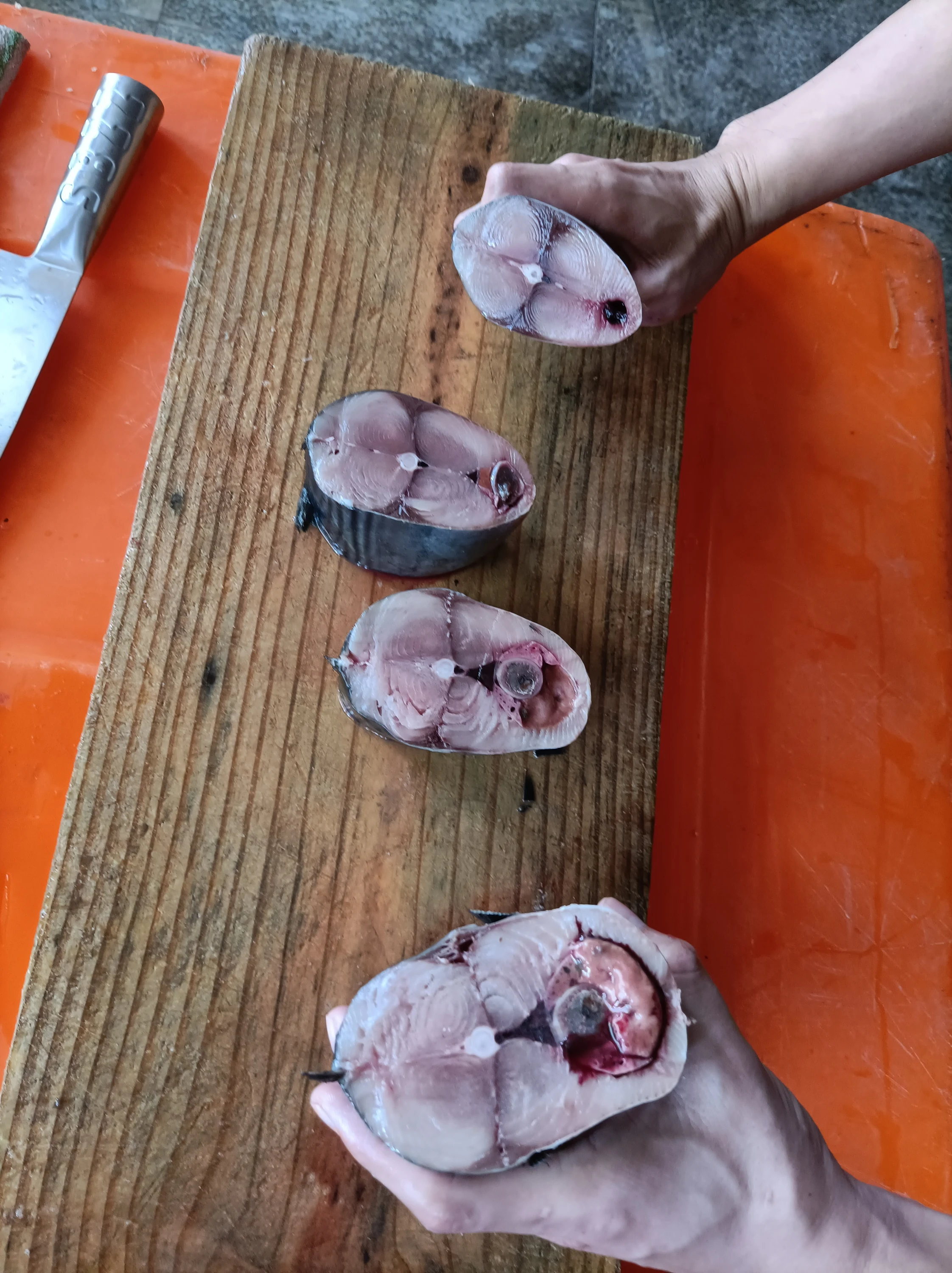 
1000g+ Frozen Bonito Fish Skipjack Tuna 