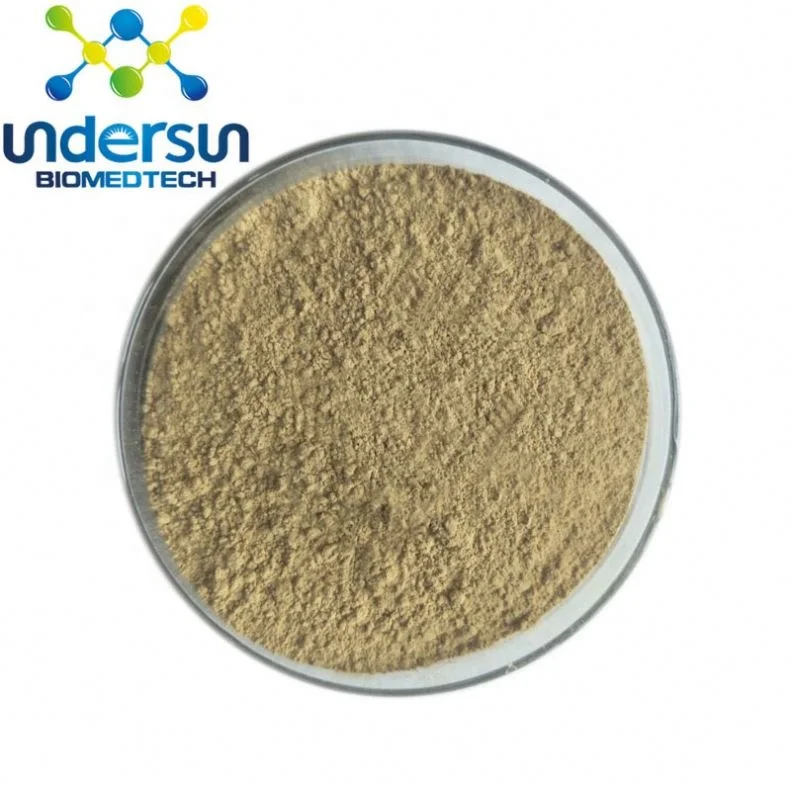 Undersun Factory Supply Nature Monk Fruit Luo Han Guo Extract bulk organic monk fruit powder