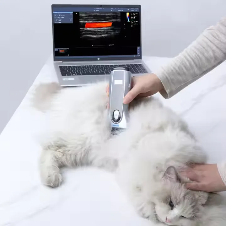 Yongyue Portable Veterinary B ultrasound Scanner Wireless Small Pet Animal Cat Dog Ultrasound Machine
