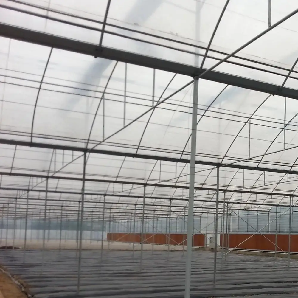China Low Cost Energy Saving Solar Strawberry Film Multi-span Tunnel Plastic Film Greenhouse For Agricultural