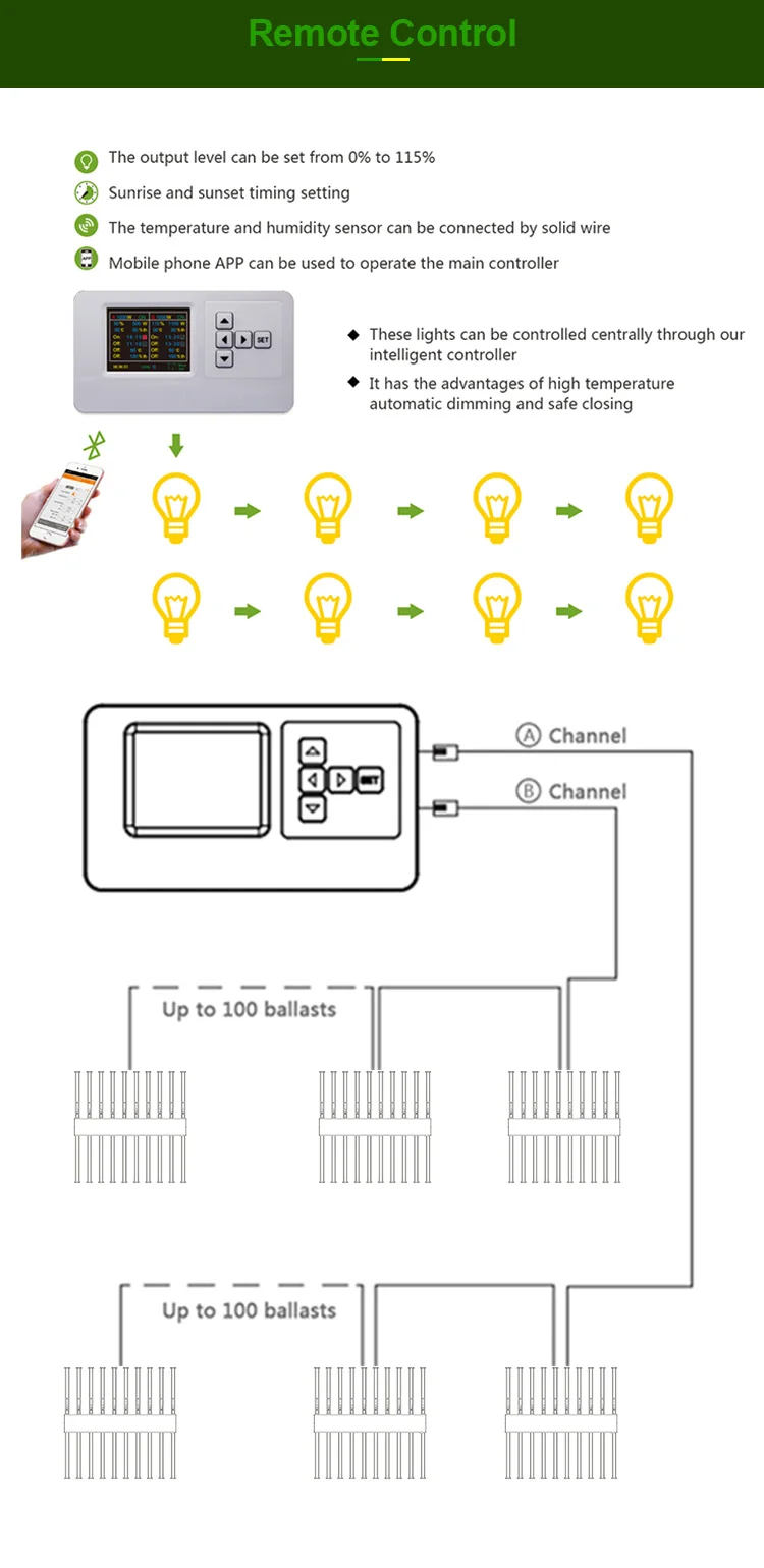 DK102A_06.jpg