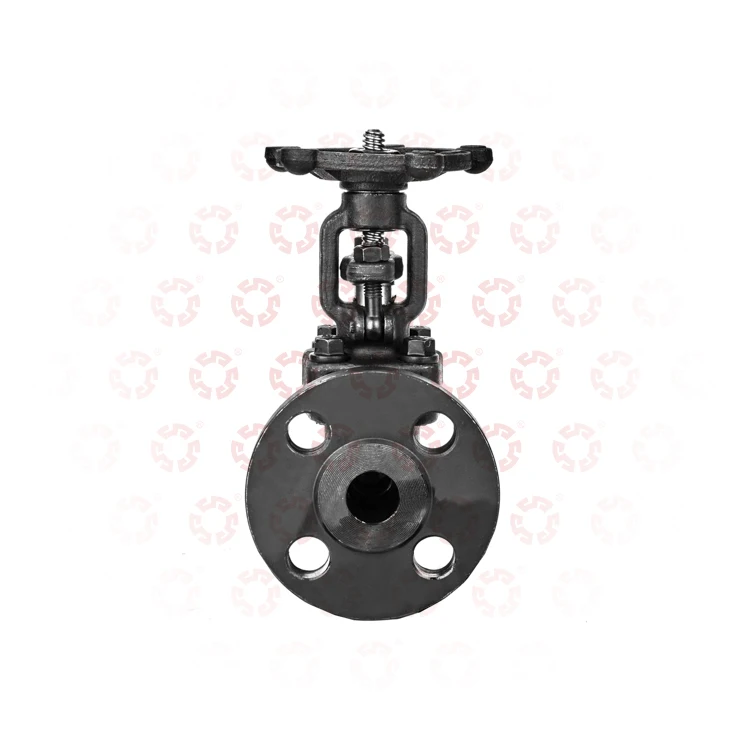 Carbon Steel Z41-61-41 Dn50 Dn100 Dn125 Industrial Grade For Water Oil Gas Soft seal Manual check Valve Control Gate Valve