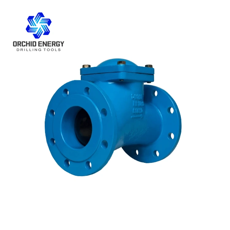 Oil and Gas Wellhead One Way Check Valve with Forging Carbon Steel and API 6A Complied