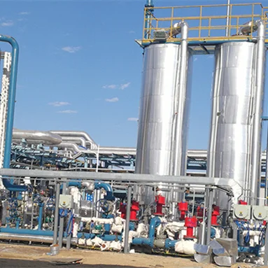 Простая эксплуатация 99% CO2 CH4 переработка очиститель биогаза и H2S для наполнитель листьев растений