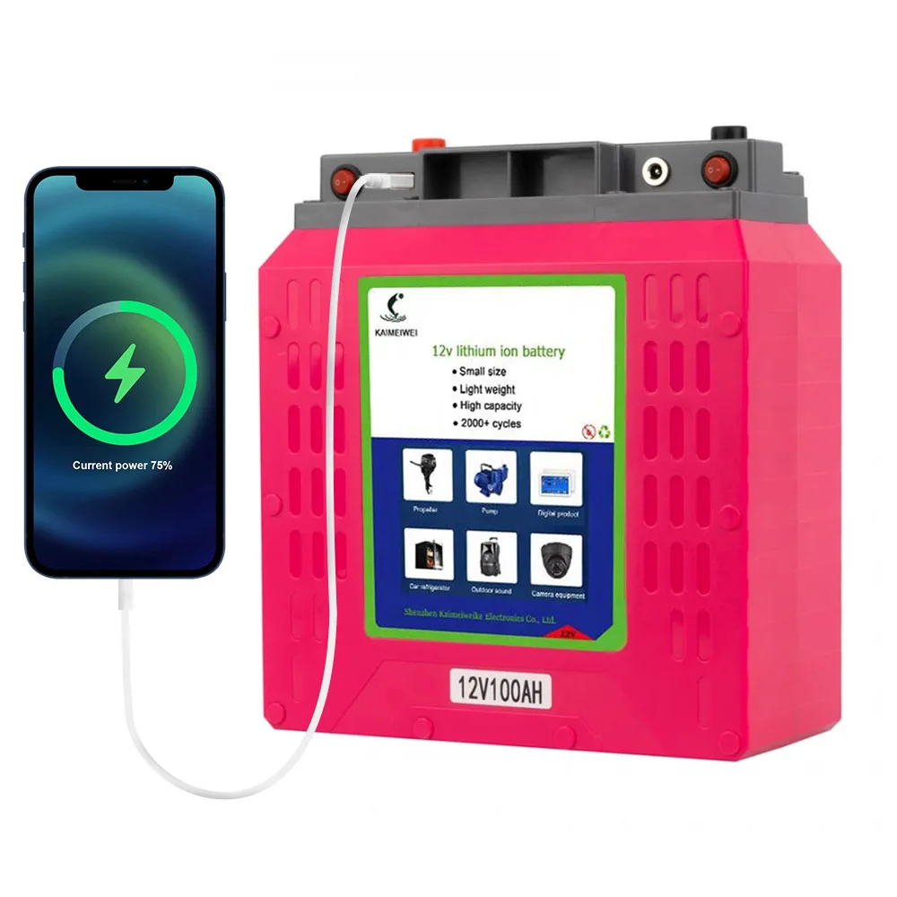 OEM light weight portable battery pack 12v 100ah lithium ion li-ion batteries Outdoor Portable Lightweight Fishing i-ion Battery