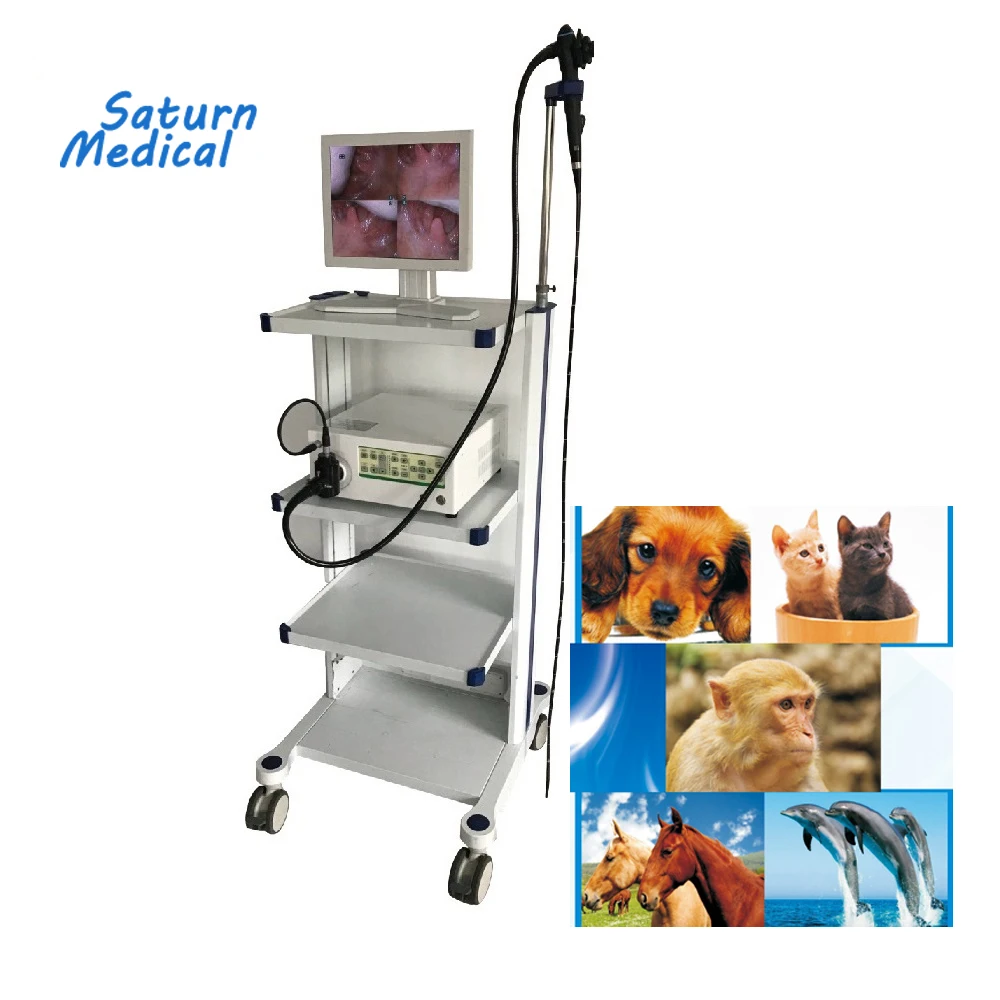 HD портативный ветеринарный видеоэндоскоп для домашних животных крупного рогатого скота лошадей собак и кошек
