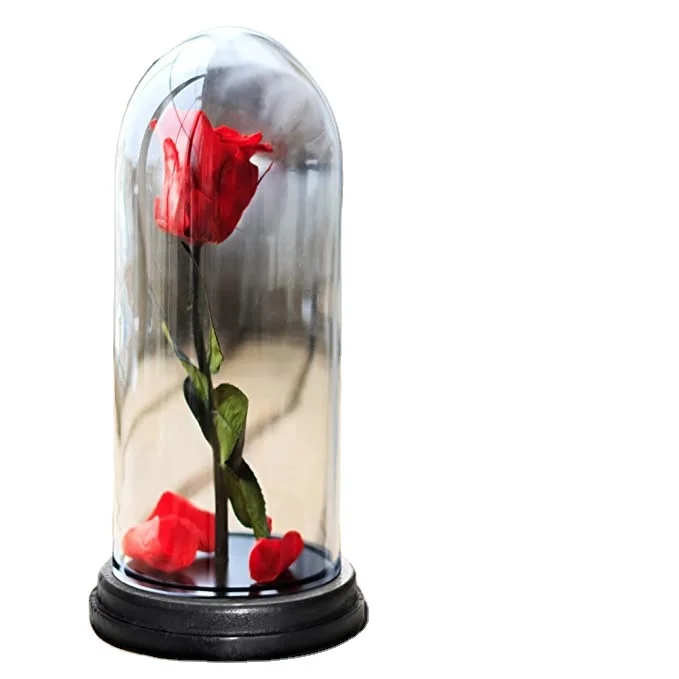 
Multiple Size Choices Decorative Showcase Display for Antique Collectibles | Bell Jar Terrarium & Dessert Cover 