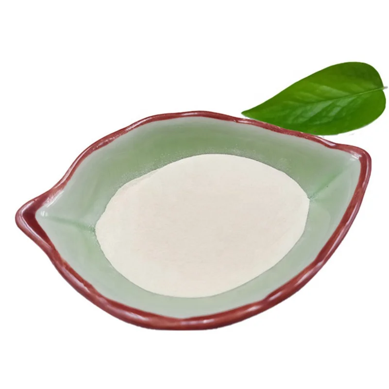  2020 Instant Magic Fat Burner Weight Loss Probiotics Lactobacillus Probiotic 100Billion cfu16 Strains For