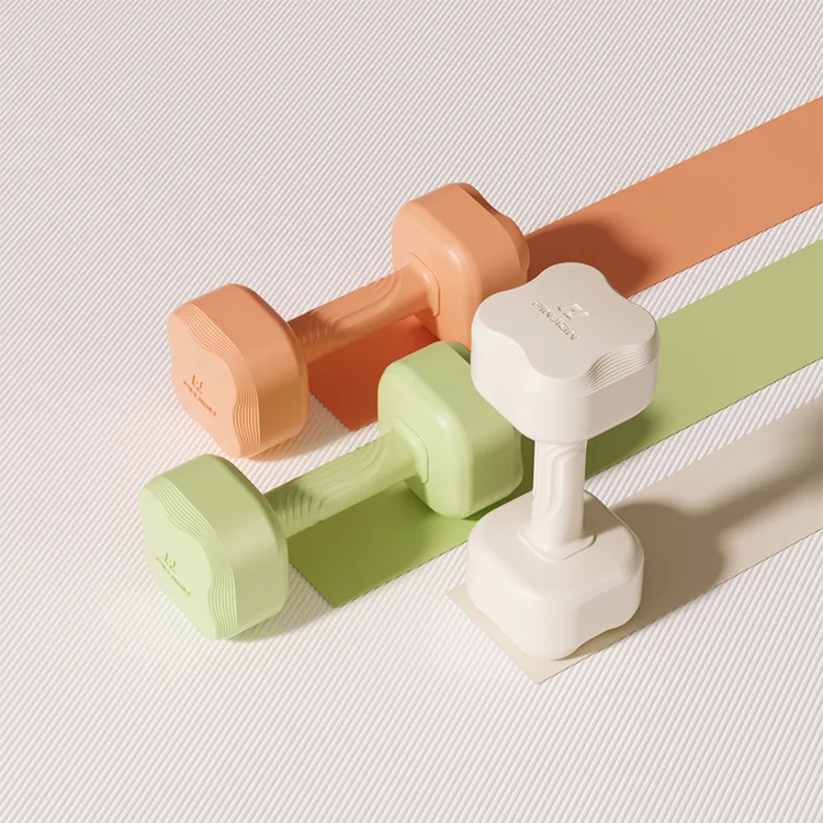 PJ New pre-sale Women Gym weight lifting Home Exercise Sport Dumbbell Set Yoga Fitness Equipment Lose weight cement dumbbell