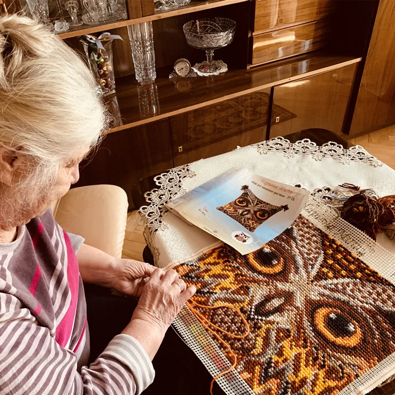 
Sunflower&Butterfly Threads Embroidery Canvas Cross Stitch Art Home Decorative Cross-Stitch Fabric Set 