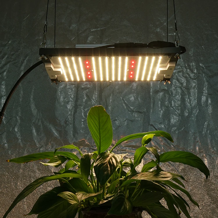 
120W sf1000 lm301H mix CREE XP-E2 660nm led grow light for indoor plants 
