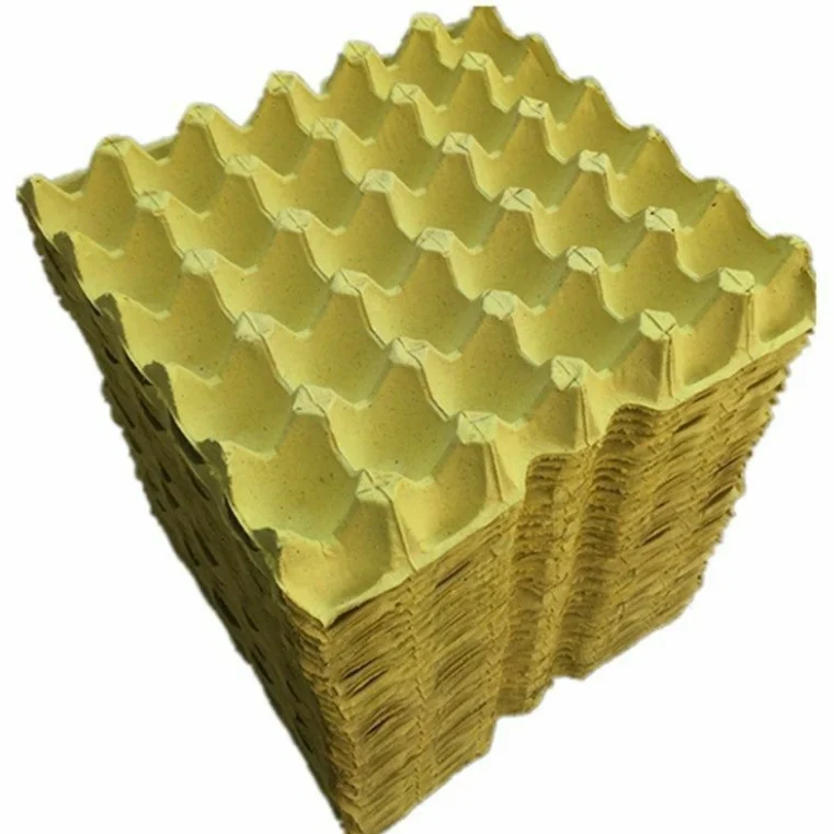 Customizable Disposable Recyclable Biodegradable Compostable Eco-Friendly Shock-Proof Cushioned Water-Proof Paper Pulp Molded 18