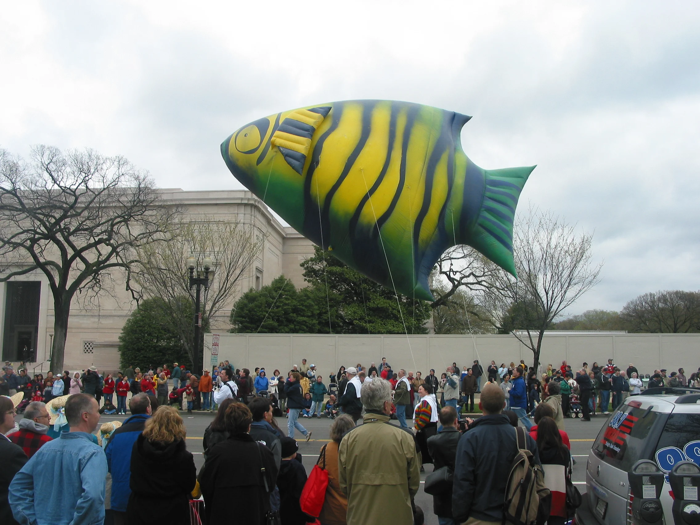 Factory Price Giant Inflatable Nemo Fish for Advertising , Clownfish Balloon for Sale , Nemo Helium Balloon