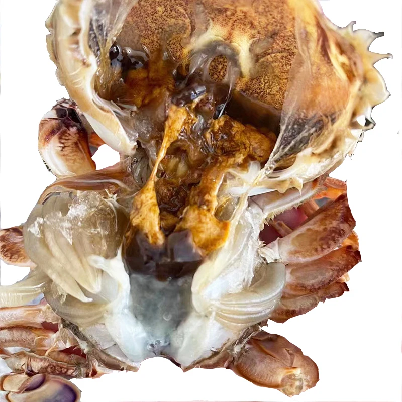 Hot selling fresh seasonal frozen sand crabs high quality wholesale price frozen crabs high nutrition frozen sand crabs