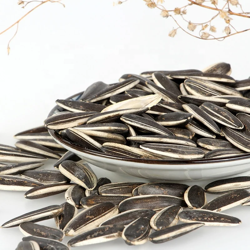 Wholesale China New Type Big Size  Sunflower kernels Seeds green sunflower seeds