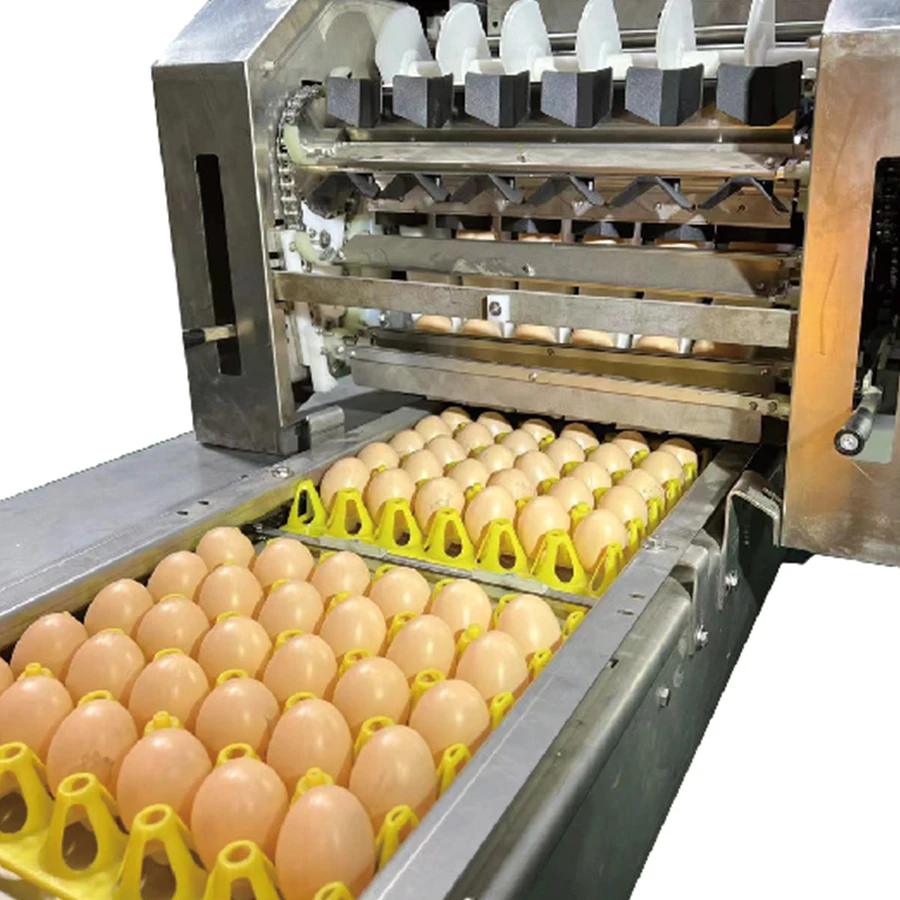Best Sale Snail Shrimp Egg Sorting Line Automatic Machine Conveyor Belt Grading